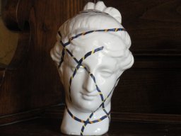 venus 017